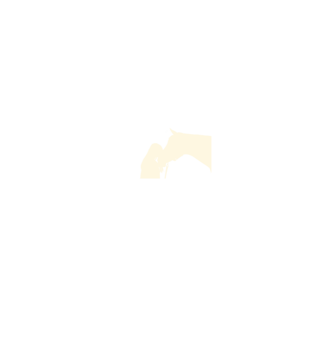 Lovas szív minta fekete pólón