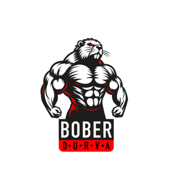 Bober durván kipattintva minta fehér pólón