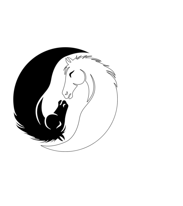 ying yang ló minta fekete pólón