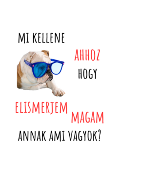 elismerem magam minta világoskék pólón