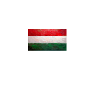 Magyar zászló - festett minta fekete pólón
