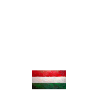 Magyar zászló - festett minta sötétkék pólón