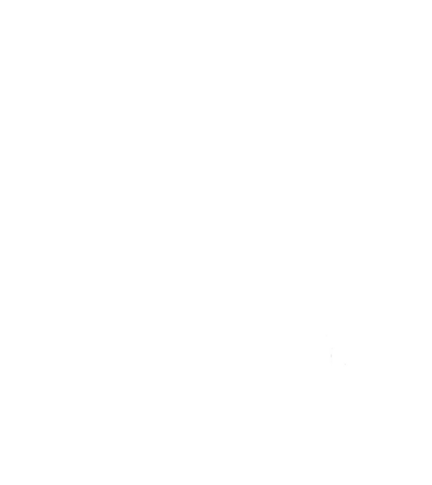 The Walking DAD - white - fehér minta fekete pólón