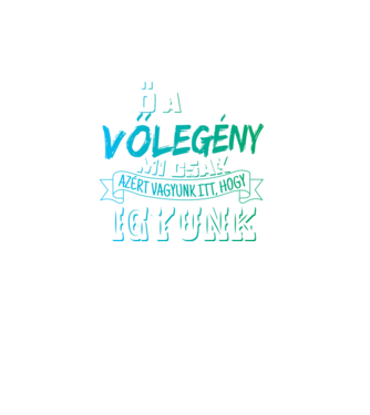 Ő a völegény,mi csak azért vagyunk itt,hogy igyunk minta türkiz pólón