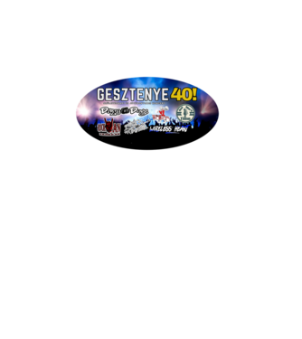 Gesztenye 40 minta fekete pólón