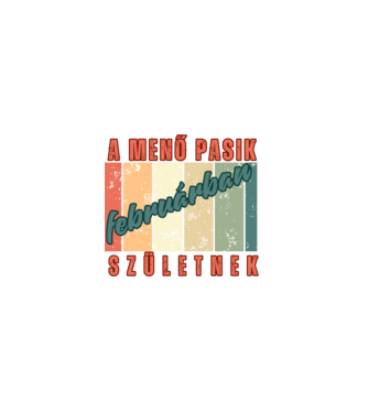 Szülinap menő pasi február minta fekete pólón