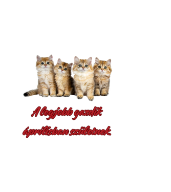 április szülinap cica  minta homokszín pólón