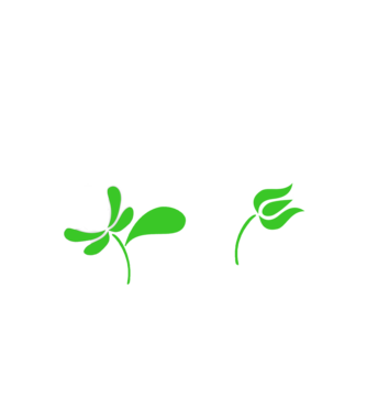 Ferencváros feliratú népi minta minta fekete pólón