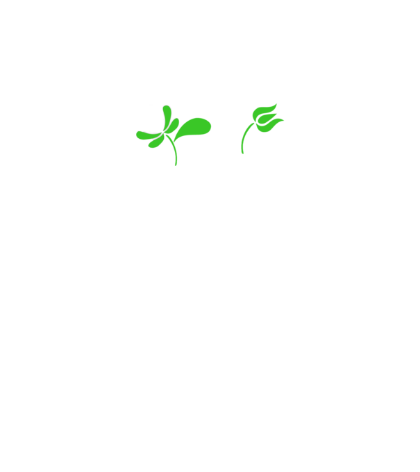 Ferencváros feliratú népi minta minta fekete pólón