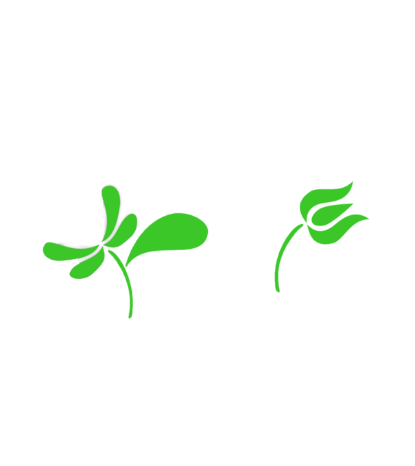 Ferencváros feliratú népi minta minta fehér pólón