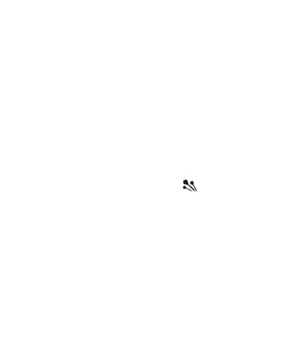404 - Checkout not found. V1 minta fekete pólón