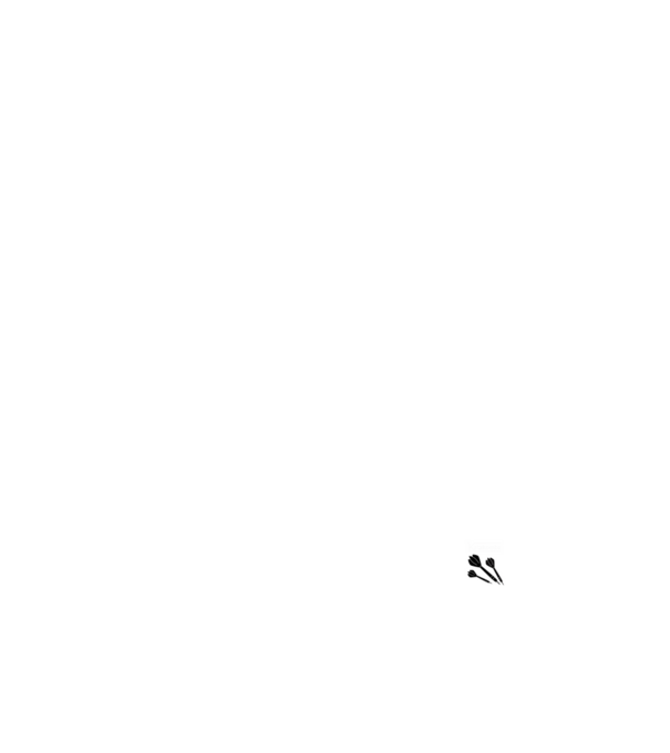 dartsos V2 minta fehér pólón