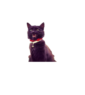CrazyCat minta neonsárga pólón