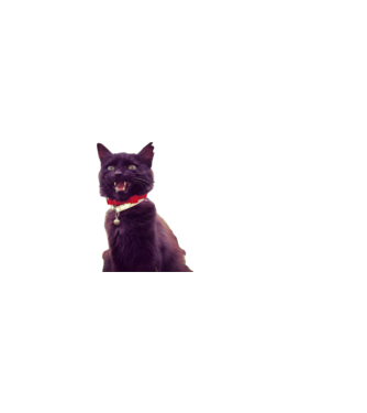 CrazyCat minta világos rózsaszín pólón