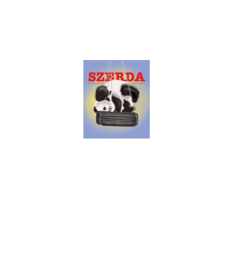 szerda minta fekete pólón