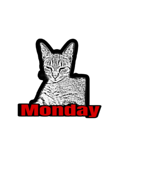 Monday Cat minta fehér pólón