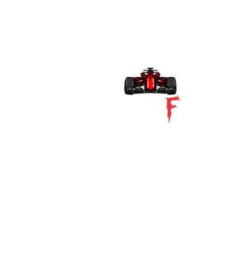 NEM ELÉG A GYORS AUTÓ minta fehér pólón