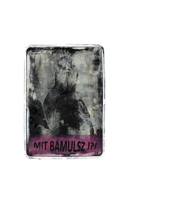 Mit bámulsz ? minta fehér pólón