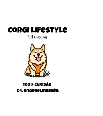 Corgi Mód Aktiválva minta világoskék pólón