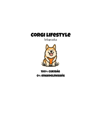 Corgi Mód Aktiválva minta szürke pólón