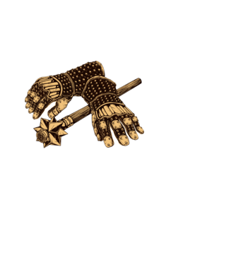 Dél pörölye minta fekete pólón