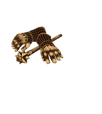 Dél pörölye minta fekete pólón