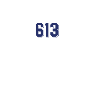 613 kék-fehér minta fehér pólón