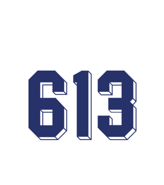 613 kék-fehér minta fehér pólón