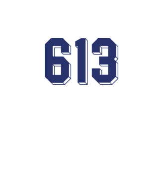 613 kék-fehér minta fehér pólón