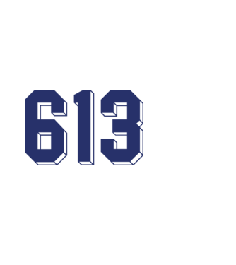 613 kék-fehér minta fehér pólón