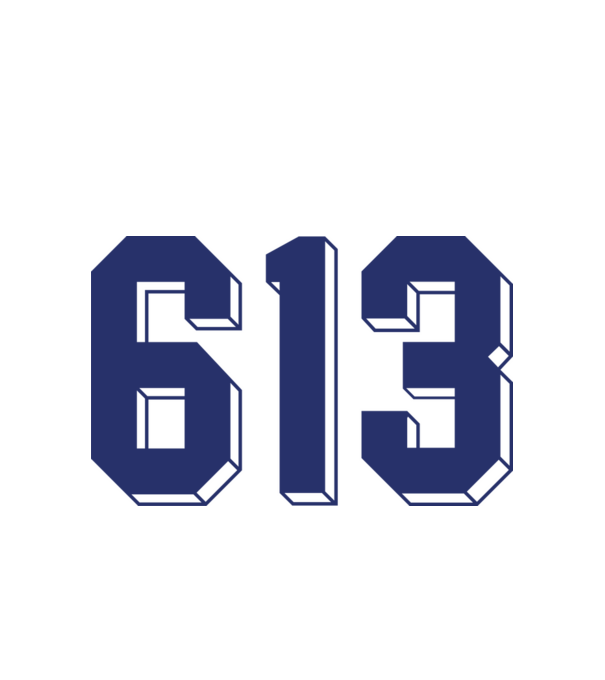 613 kék-fehér minta fehér pólón