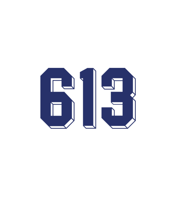 613 kék-fehér minta fehér pólón