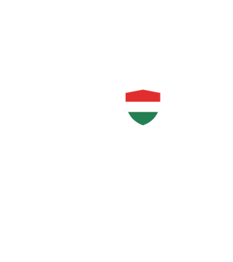 Magyar zászlós pajzs minta szürke pólón