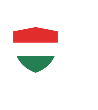 Magyar zászlós pajzs minta világoskék pólón