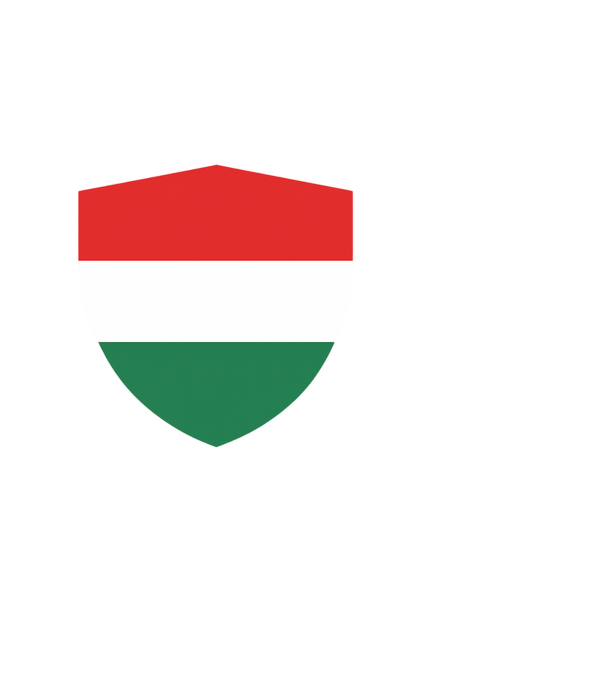 Magyar zászlós pajzs minta fekete pólón