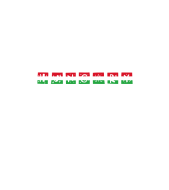Játékos 'Hungary' felirat trikolór minta fekete pólón