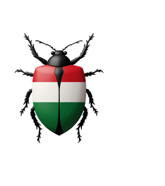 Magyar Poloska minta fekete pólón