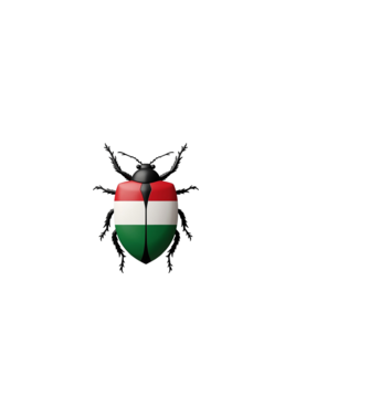 Magyar Poloska minta fehér pólón
