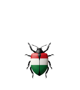 Magyar Poloska minta fehér pólón