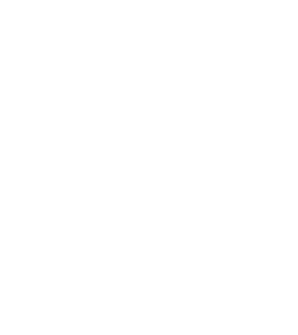Főispánnő minta fehér pólón