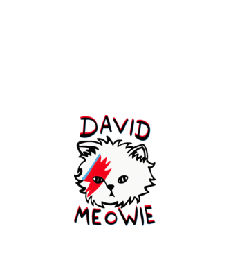 David Meowie minta narancssárga pólón