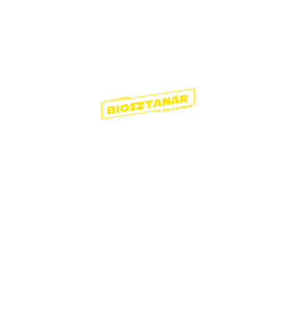 Star Wars legjobb biosztanar solo minta fekete pólón