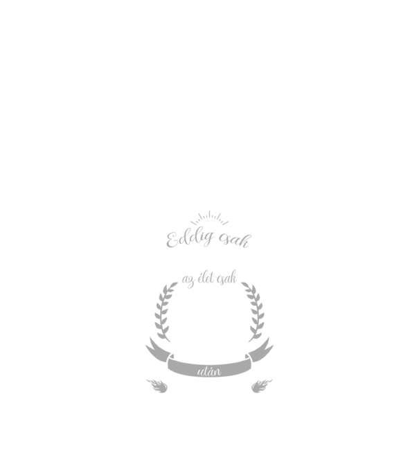 kamasz-57 minta királykék pólón