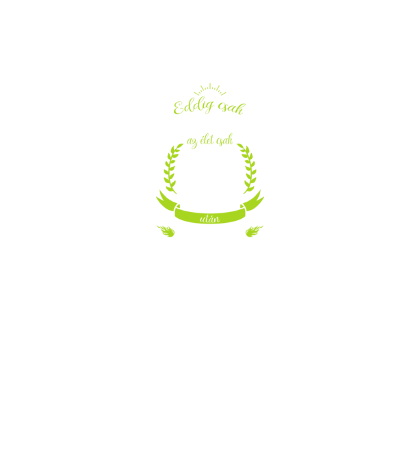kamasz-28 minta szürke/fekete pólón