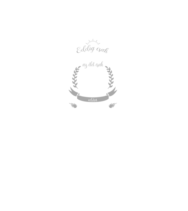 kamasz-77 minta sötétszürke pólón