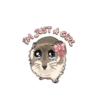 Sad coquette hamster meme felirattal minta fehér pólón