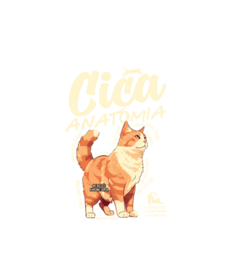 Cica anatómia vörös minta fehér pólón