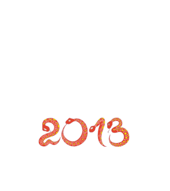2013 minta fehér pólón