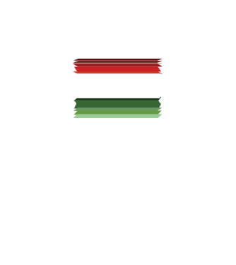 magyar_zaszlo_3 minta neonsárga pólón
