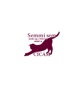 Semmi sem ápolja úgy a lelkemet mint a cicám minta fehér pólón